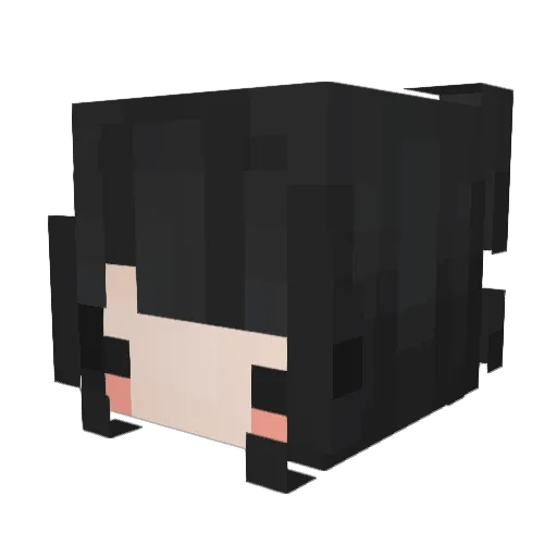 SkinnyTyppi Minecraft avatar head, 3D render