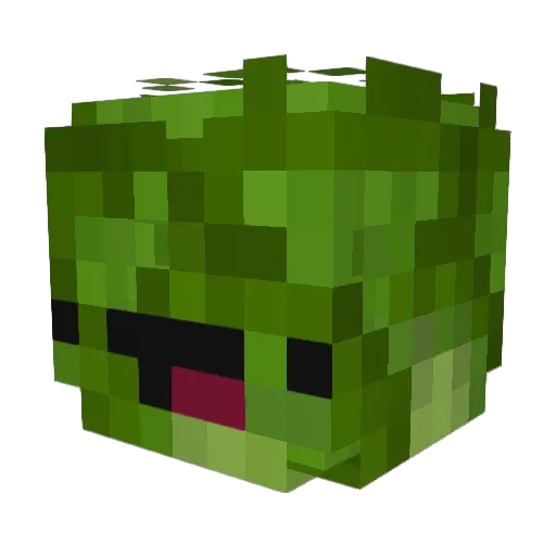 SkinnyWhimper Minecraft avatar head, 3D render