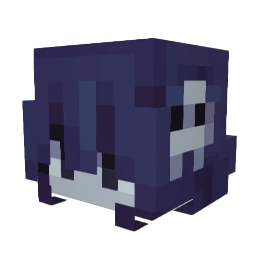 Skinny_b0x Minecraft avatar head, 3D render