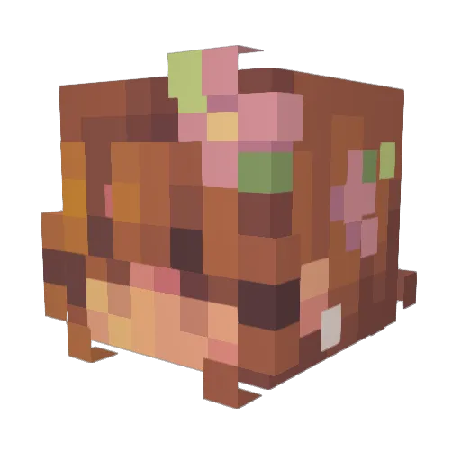 Skinnyb0nes13 Minecraft avatar head, 3D render