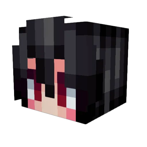 Skinnylegs369 Minecraft avatar head, 3D render