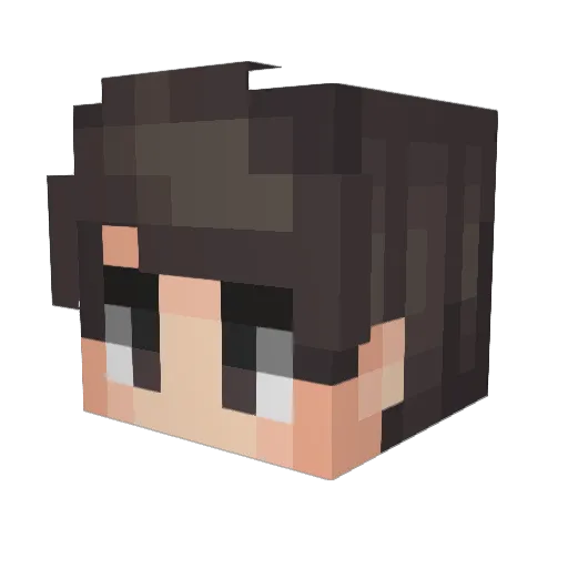 SkinsGetWins Minecraft avatar head, 3D render