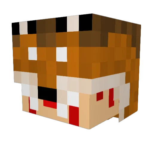 SkinwalkerBusss Minecraft avatar head, 3D render