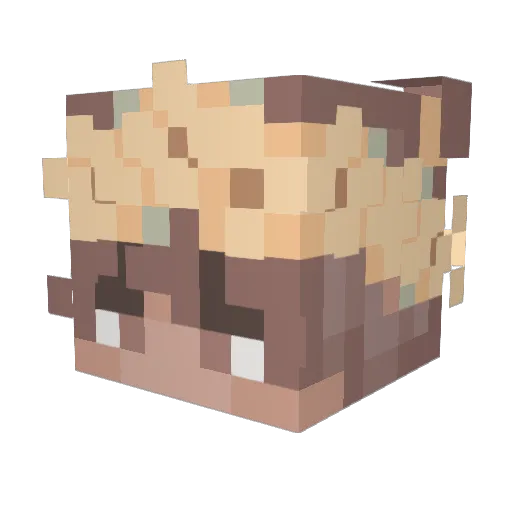 SkipKings Minecraft avatar head, 3D render