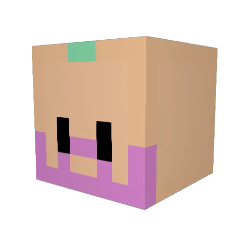 Skipicc Minecraft avatar head, 3D render