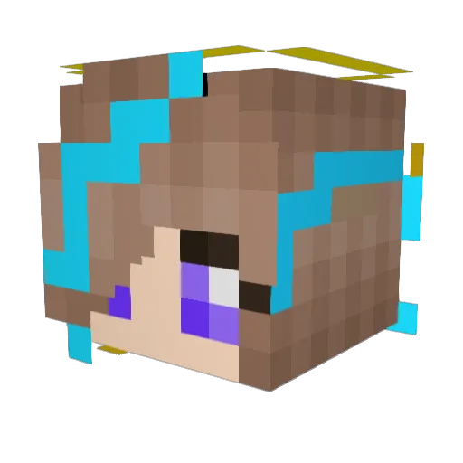 Skipp26 Minecraft avatar head, 3D render