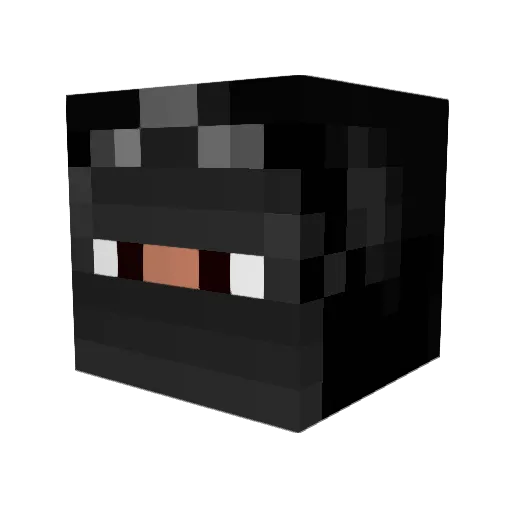 Skipper459 Minecraft avatar head, 3D render