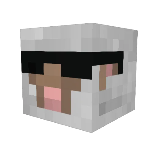 SkipperEimar Minecraft avatar head, 3D render