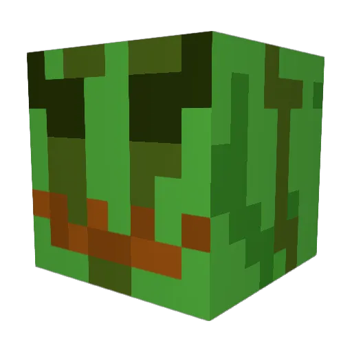 SkipperXLV Minecraft avatar head, 3D render