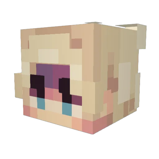 Skipperpod Minecraft avatar head, 3D render