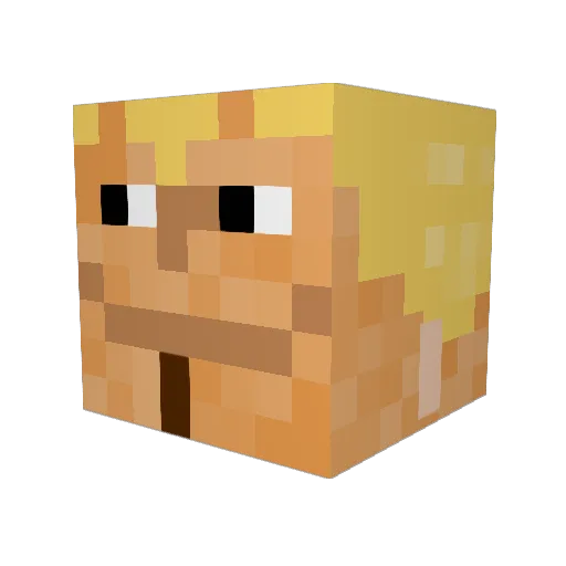 Skippert Minecraft avatar head, 3D render