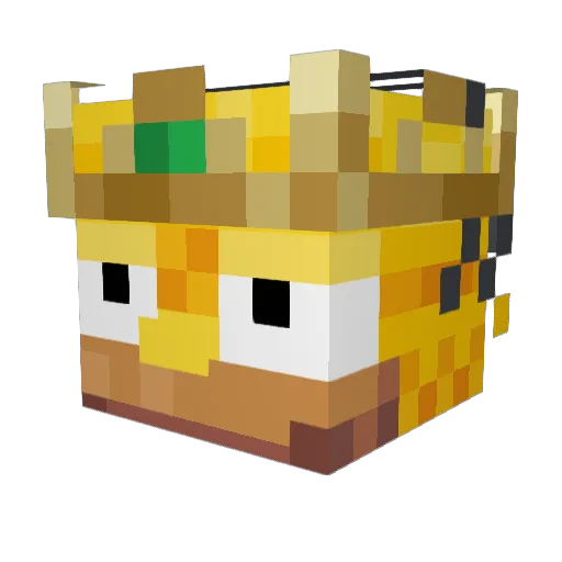 SkippiePants Minecraft avatar head, 3D render