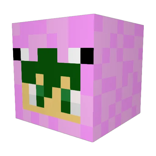 SkippingPenguin Minecraft avatar head, 3D render