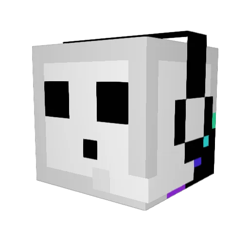 Skippy5656 Minecraft avatar head, 3D render