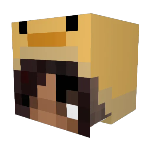 SkippyGO05 Minecraft avatar head, 3D render