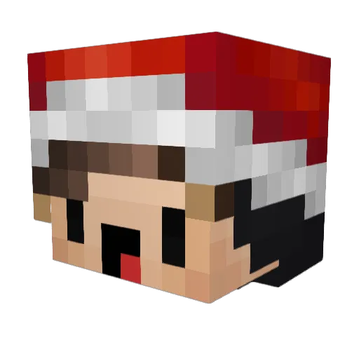 Skippyness Minecraft avatar head, 3D render