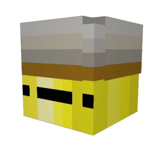 Skipz8 Minecraft avatar head, 3D render