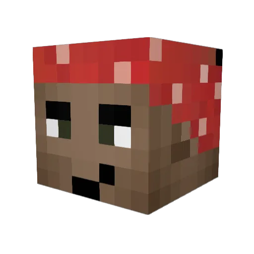 Skitech Minecraft avatar head, 3D render