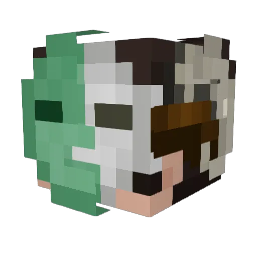Skitess Minecraft avatar head, 3D render