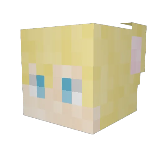 Skitswashere Minecraft avatar head, 3D render