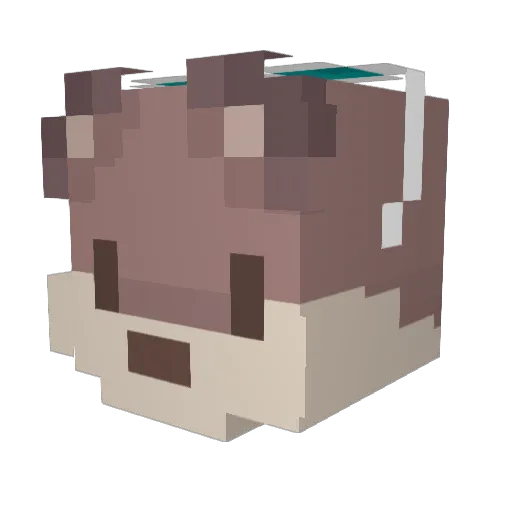 SkitterbugAlola Minecraft avatar head, 3D render
