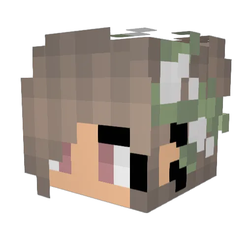 Skitterly Minecraft avatar head, 3D render