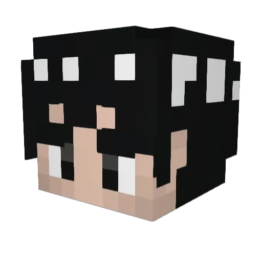 SkittleMT Minecraft avatar head, 3D render
