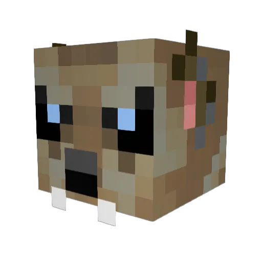 Skittlecookie Minecraft avatar head, 3D render