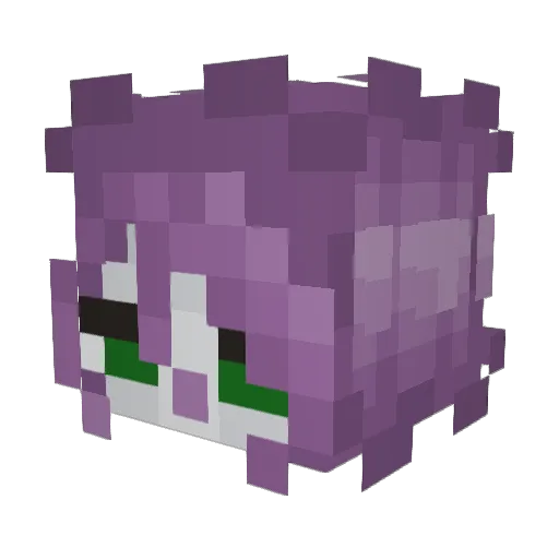SkittlesSnorter Minecraft avatar head, 3D render