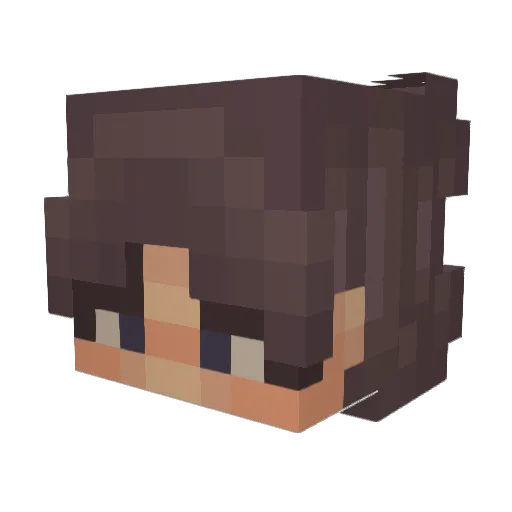 Skittles__ftw Minecraft avatar head, 3D render