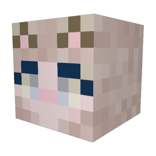 SkittleyJones Minecraft avatar head, 3D render