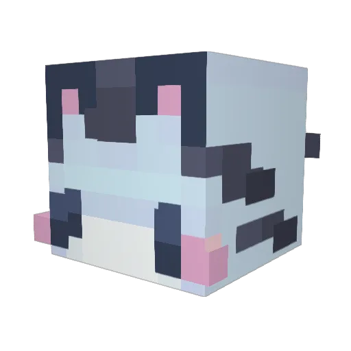 SkittyPaws Minecraft avatar head, 3D render