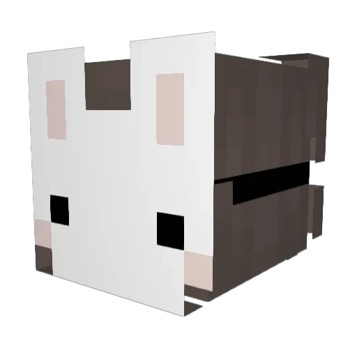 SkitxSkittles Minecraft avatar head, 3D render