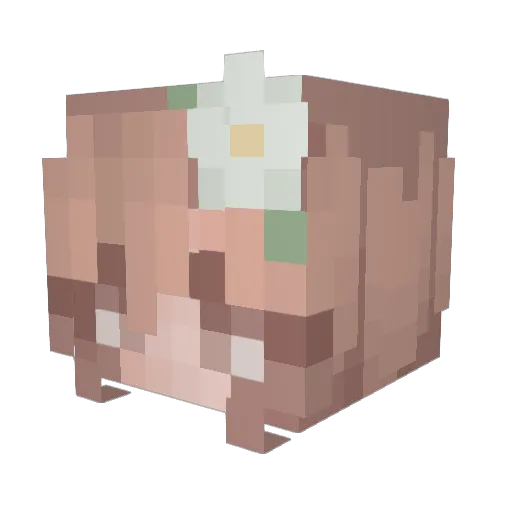 Skitza1973 Minecraft avatar head, 3D render