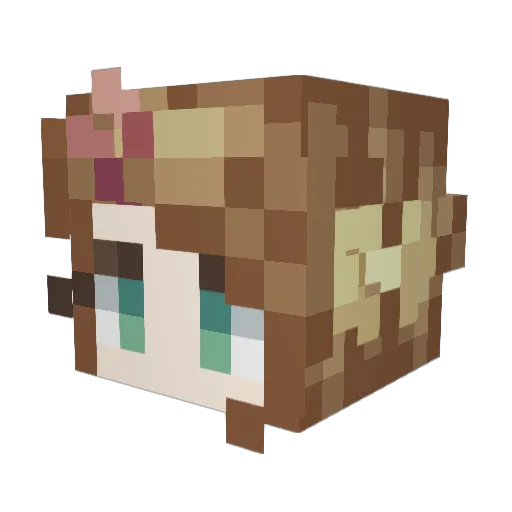 Skiub_ Minecraft avatar head, 3D render