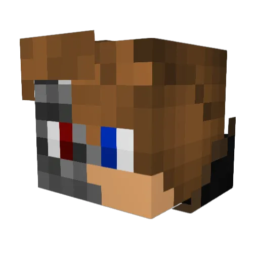 SkiyteNET Minecraft avatar head, 3D render