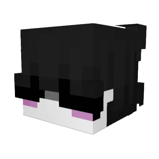 Skizoh_ Minecraft avatar head, 3D render