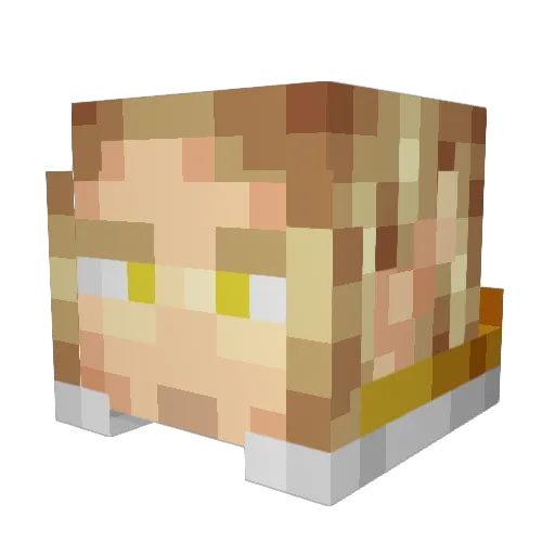 Skjult Minecraft avatar head, 3D render