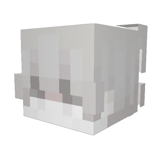Sklave Minecraft avatar head, 3D render