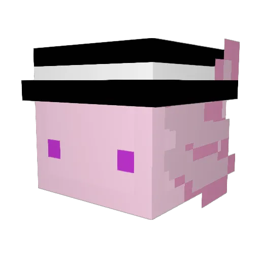 Sklev Minecraft avatar head, 3D render