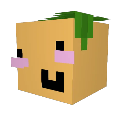 SknyLgndMoose Minecraft avatar head, 3D render