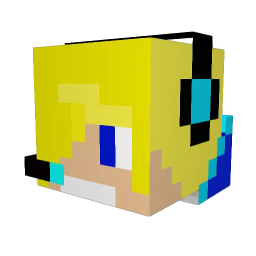 Sko0oks Minecraft avatar head, 3D render