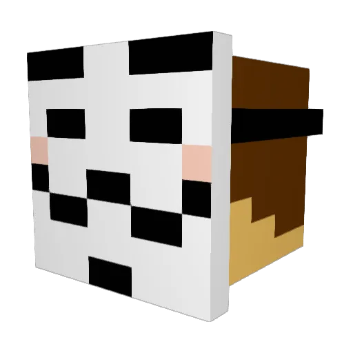 Skoii Minecraft avatar head, 3D render