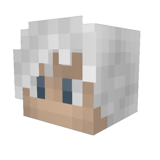 Skoinsk Minecraft avatar head, 3D render