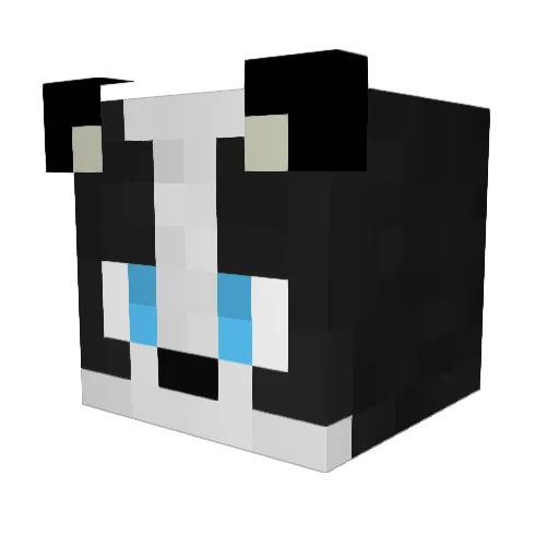 Skoit Minecraft avatar head, 3D render