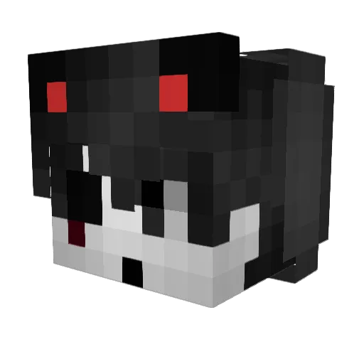 Skoku Minecraft avatar head, 3D render