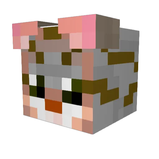 Skole04 Minecraft avatar head, 3D render