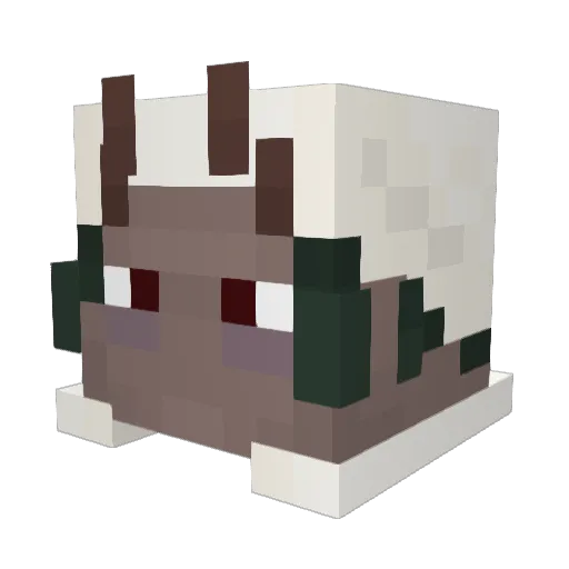 Skoliozz Minecraft avatar head, 3D render