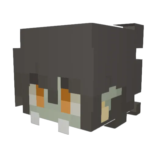 Skoodicai Minecraft avatar head, 3D render