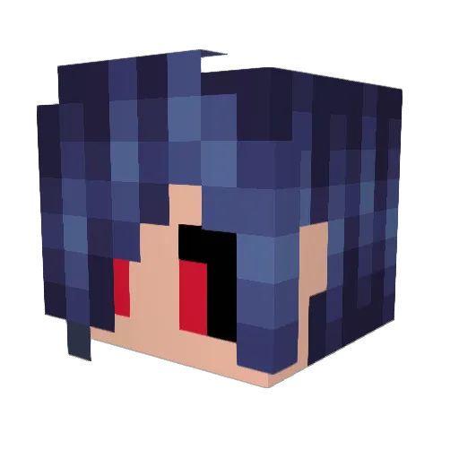 Skoogy Minecraft avatar head, 3D render